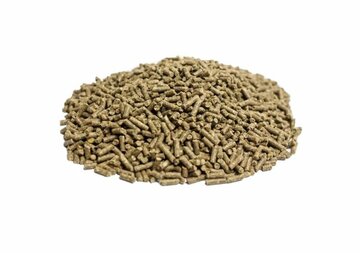 Garvo scharrel legkorrel